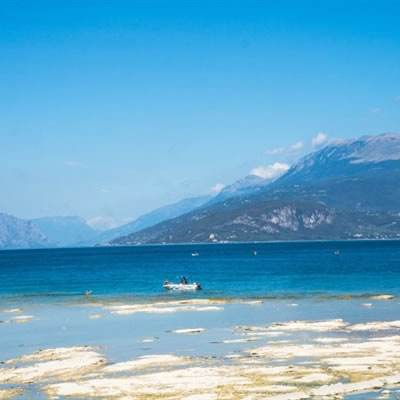 半岛平台半岛官方下载截图