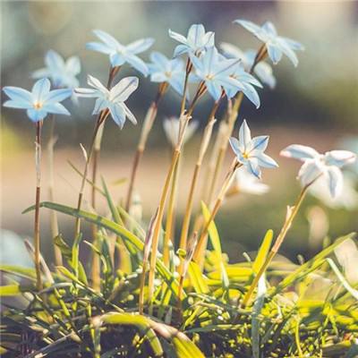 竞彩足球app官网下载