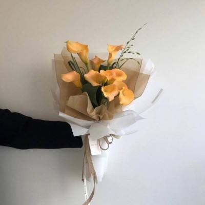 小罗代言米乐体育app截图