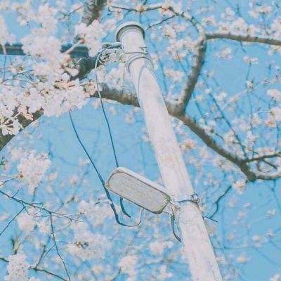 云开·(kaiyun)官方网站