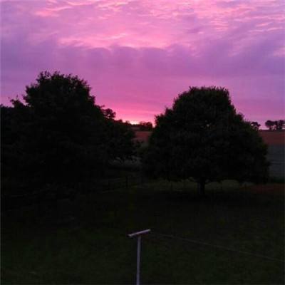 大发彩票app下载手机版