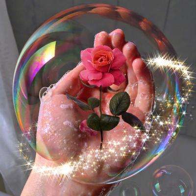 AOA体育下载手机版