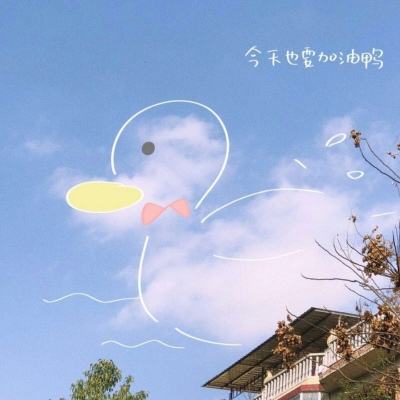 威尼斯软件·下载