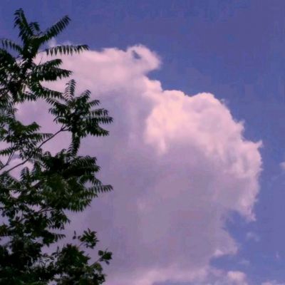 万博ManBetX登录网页版app下载截图