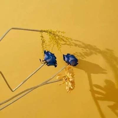 单机的打鱼游戏